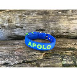 COLEIRA BABY PERSONALIZADA 3cm azul com nome em ve... - PETSPACE