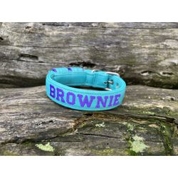 COLEIRA BABY PERSONALIZADA 3cm azul tiffany com no... - PETSPACE