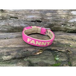 COLEIRA BABY PERSONALIZADA 3cm rosa/dourado com no... - PETSPACE
