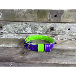 COLEIRA BABY LISA 3cm roxa/verde fluorescente - 72 - PETSPACE