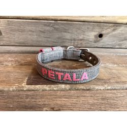 COLEIRA BABY PERSONALIZADA 3cm cinza riscado com n... - PETSPACE