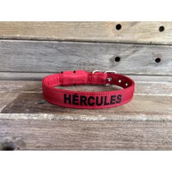 COLEIRA BABY PERSONALIZADA 3cm vermelha com nome e... - PETSPACE