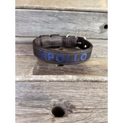 COLEIRA BABY PERSONALIZADA 3cm preta com nome em a... - PETSPACE
