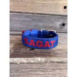 COLEIRA BABY PERSONALIZADA 3cm azul com nome em ve... - PETSPACE