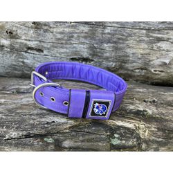 COLEIRA LISA 5cm lilás - 1203 - PETSPACE