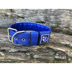 COLEIRA LISA 5cm azul - 1204 - PETSPACE