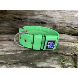 COLEIRA LISA 5cm verde fluorescente - 1210 - PETSPACE