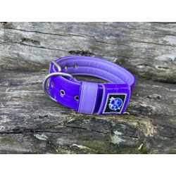 COLEIRA LISA 5cm roxa/lilás - 1101 - PETSPACE