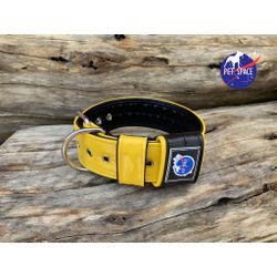 COLEIRA LISA 5cm amarela/preta - 1104 - PETSPACE