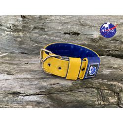 COLEIRA LISA 5cm amarela/azul - 1105 - PETSPACE