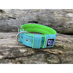 COLEIRA LISA 5cm azul tiffany/ verde fluorescente ... - PETSPACE