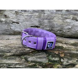 COLEIRA LISA 5cm lilás - 1111 - PETSPACE