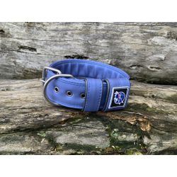 COLEIRA LISA 5cm azul - 1113 - PETSPACE