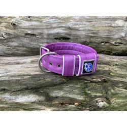 COLEIRA LISA 5cm roxa - 1117 - PETSPACE