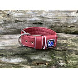 COLEIRA LISA 5cm bordô - 1121 - PETSPACE