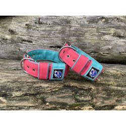 COLEIRA LISA 5cm rosa/azul tiffany - 1122 - PETSPACE