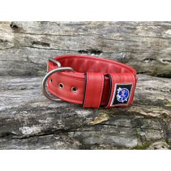COLEIRA LISA 5cm vermelha - 1126 - PETSPACE