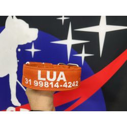 COLEIRA PERSONALIZADA 5cm laranja com nome branco ... - PETSPACE