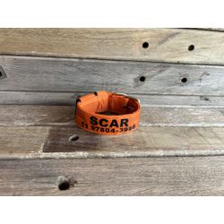 COLEIRA PERSONALIZADA 5cm laranja com nome preto (... - PETSPACE
