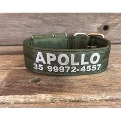 COLEIRA PERSONALIZADA 5cm verde militar com nome p... - PETSPACE