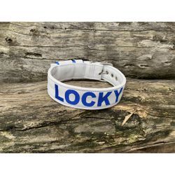 COLEIRA PERSONALIZADA 5cm branca com nome em azul ... - PETSPACE