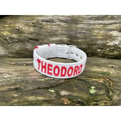 COLEIRA PERSONALIZADA 5cm branca com nome em verme... - PETSPACE