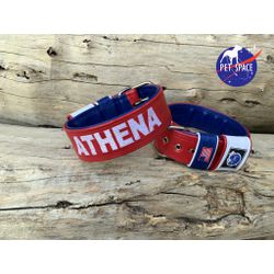 COLEIRA PERSONALIZADA 5cm vermelha/azul com nome e... - PETSPACE