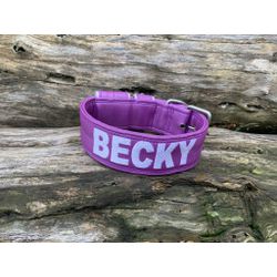 COLEIRA PERSONALIZADA 5cm roxo com nome em branco ... - PETSPACE