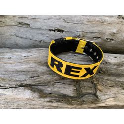 COLEIRA PERSONALIZADA 5cm amarelo/preto com nome e... - PETSPACE