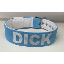 COLEIRA PERSONALIZADA 5cm azul bebê/branco com nom... - PETSPACE