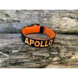 COLEIRA PERSONALIZADA 5cm preta/laranja com nome e... - PETSPACE