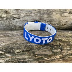 COLEIRA PERSONALIZADA 5cm azul/branca com nome em ... - PETSPACE