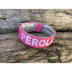 COLEIRA PERSONALIZADA 5cm rosa/prata com nome em p... - PETSPACE