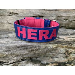 COLEIRA PERSONALIZADA 5cm azul/rosa com nome em ro... - PETSPACE
