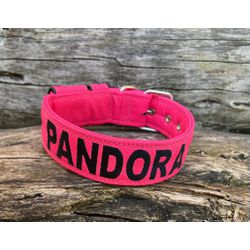 COLEIRA PERSONALIZADA 5cm glitter pink com nome em... - PETSPACE