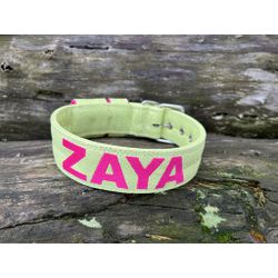 COLEIRA PERSONALIZADA 5cm glitter verde lima com n... - PETSPACE