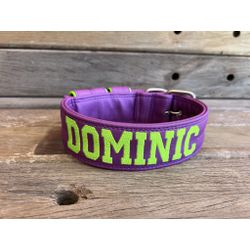 COLEIRA PERSONALIZADA 5cm roxa com nome em verde f... - PETSPACE