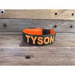 COLEIRA PERSONALIZADA 5cm verde musgo/ laranja com... - PETSPACE