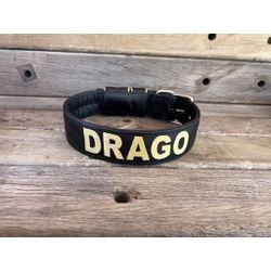 COLEIRA PERSONALIZADA 5cm preta com nome em dourad... - PETSPACE