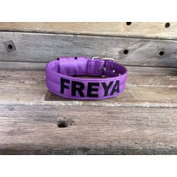 COLEIRA PERSONALIZADA 5cm roxa com nome em preto -... - PETSPACE