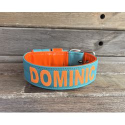 COLEIRA PERSONALIZADA 5cm tiffany/laranja com nome... - PETSPACE