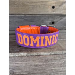 COLEIRA PERSONALIZADA 5cm roxa/laranja com nome em... - PETSPACE