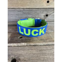 COLEIRA PERSONALIZADA 5cm azul bic/verde fluoresce... - PETSPACE