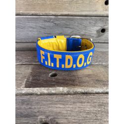 COLEIRA PERSONALIZADA 5cm azul/ amarela com nome e... - PETSPACE
