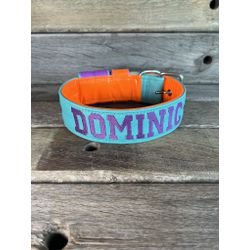 COLEIRA PERSONALIZADA 5cm tiffany/laranja com nome... - PETSPACE