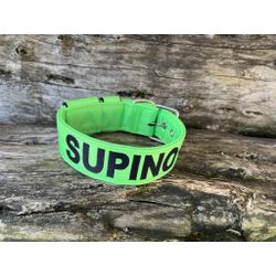 COLEIRA PERSONALIZADA 5cm verde fluorescente com n... - PETSPACE