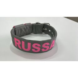COLEIRA PERSONALIZADA 5cm cinza chumbo com nome em... - PETSPACE