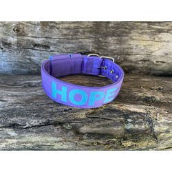 COLEIRA PERSONALIZADA 5cm lilás com nome em azul b... - PETSPACE