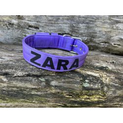 COLEIRA PERSONALIZADA 5cm lilás com nome em preto ... - PETSPACE