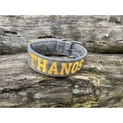 COLEIRA PERSONALIZADA 5cm cinza riscado com nome e... - PETSPACE